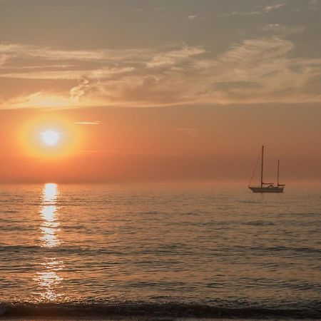 Chalet Casa Quak Petten Zewnętrze zdjęcie